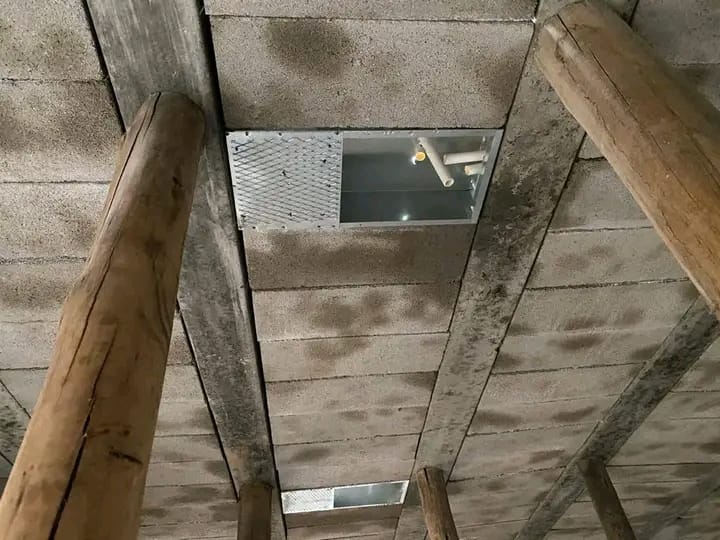 gallery16